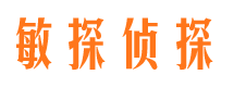 隆阳市私人侦探